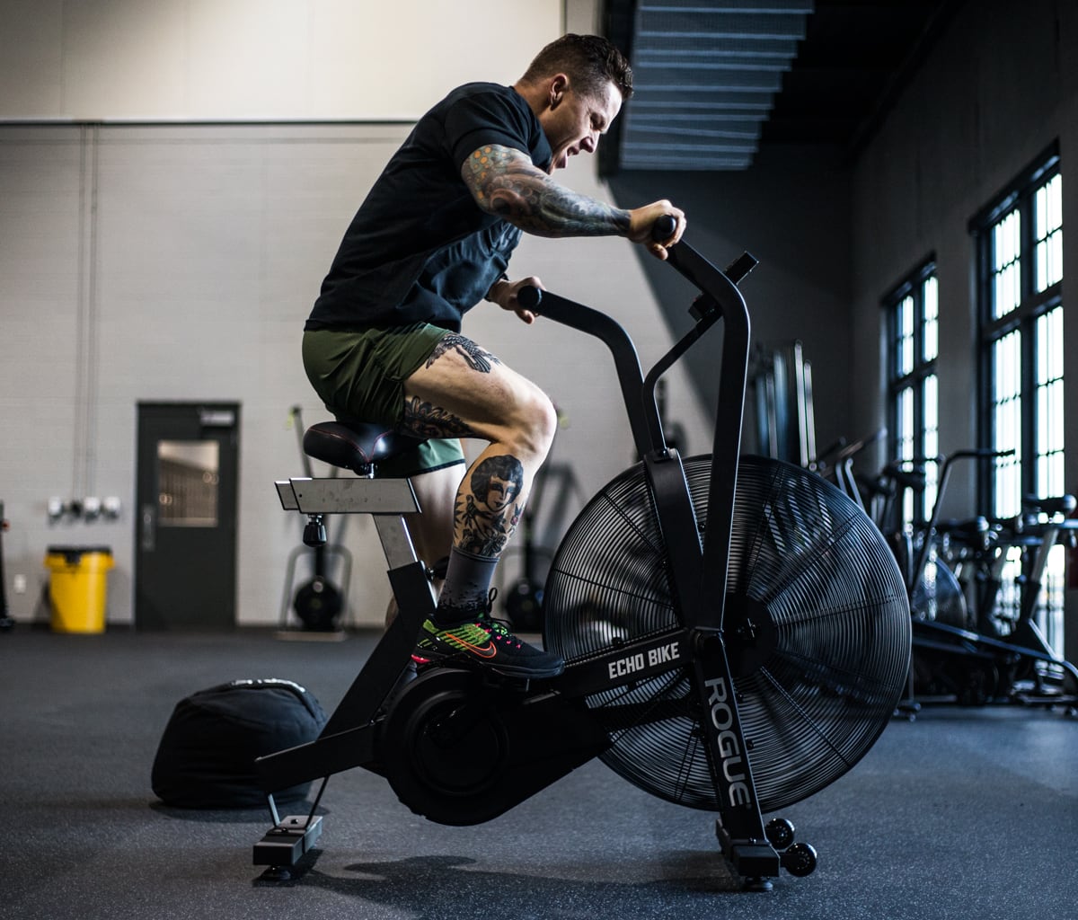 rogue echo bike v3