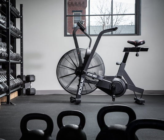 rogue echo bike v3