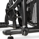 assault airbike